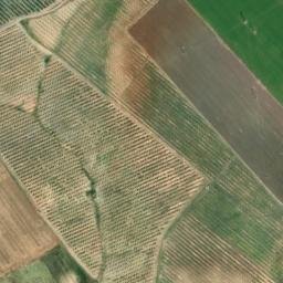 Satellite imagery of survey_point, DZ