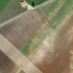Satellite imagery of survey_point, DZ