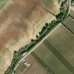 Satellite imagery of survey_point, DZ