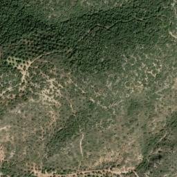 Satellite imagery of survey_point, DZ