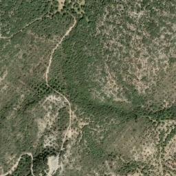 Satellite imagery of survey_point, DZ