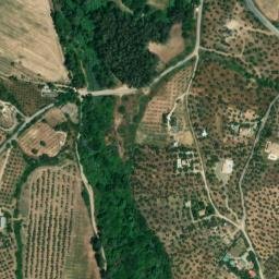 Satellite imagery of survey_point, DZ