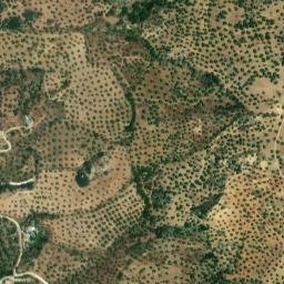 Satellite imagery of survey_point, DZ