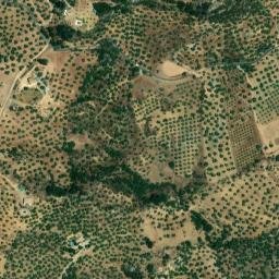 Satellite imagery of survey_point, DZ