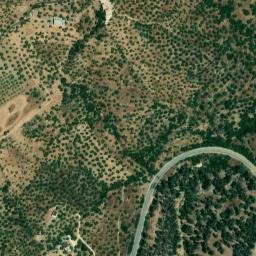 Satellite imagery of survey_point, DZ