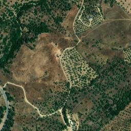 Satellite imagery of survey_point, DZ