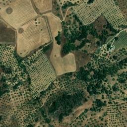 Satellite imagery of survey_point, DZ