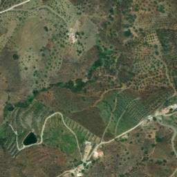 Satellite imagery of survey_point, DZ