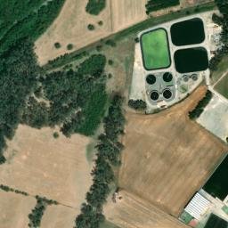 Satellite imagery of survey_point, DZ