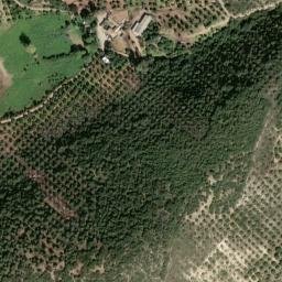 Satellite imagery of survey_point, DZ