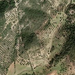 Satellite imagery of survey_point, DZ