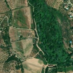Satellite imagery of survey_point, DZ