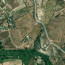 Satellite imagery of survey_point, DZ