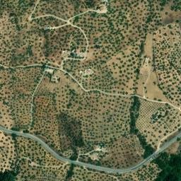 Satellite imagery of survey_point, DZ