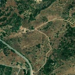 Satellite imagery of survey_point, DZ