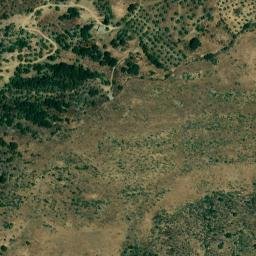 Satellite imagery of survey_point, DZ