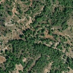 Satellite imagery of survey_point, DZ