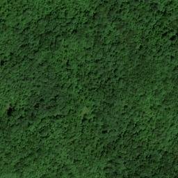 Satellite imagery of Dog Slaughter Ridge, US