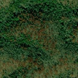 Satellite imagery of Pond Ridge, US