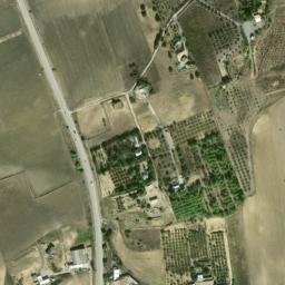 Satellite imagery of survey_point, DZ