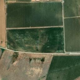 Satellite imagery of survey_point, DZ