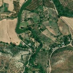 Satellite imagery of survey_point, DZ