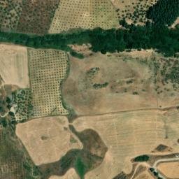 Satellite imagery of survey_point, DZ