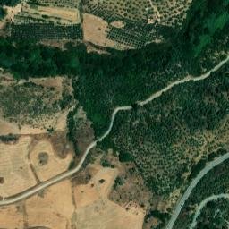 Satellite imagery of survey_point, DZ