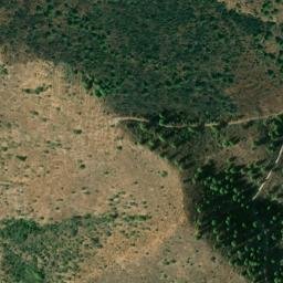 Satellite imagery of survey_point, DZ