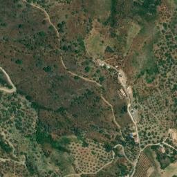 Satellite imagery of survey_point, DZ