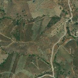 Satellite imagery of survey_point, DZ
