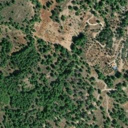 Satellite imagery of survey_point, DZ