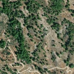 Satellite imagery of survey_point, DZ