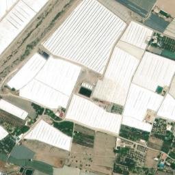 Satellite imagery of survey_point, DZ