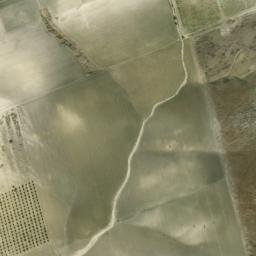 Satellite imagery of survey_point, DZ