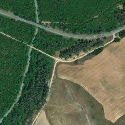 Satellite imagery of survey_point, DZ