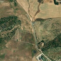 Satellite imagery of survey_point, DZ