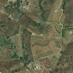 Satellite imagery of survey_point, DZ