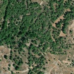 Satellite imagery of survey_point, DZ