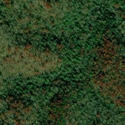 Satellite imagery of Pond Ridge, US