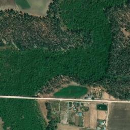 Satellite imagery of survey_point, DZ