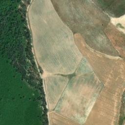 Satellite imagery of survey_point, DZ