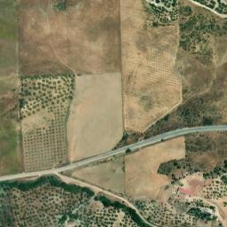 Satellite imagery of survey_point, DZ