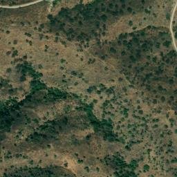 Satellite imagery of survey_point, DZ