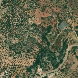 Satellite imagery of survey_point, DZ