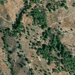 Satellite imagery of survey_point, DZ