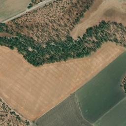 Satellite imagery of survey_point, DZ