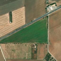 Satellite imagery of survey_point, DZ