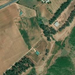 Satellite imagery of survey_point, DZ
