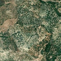 Satellite imagery of survey_point, DZ